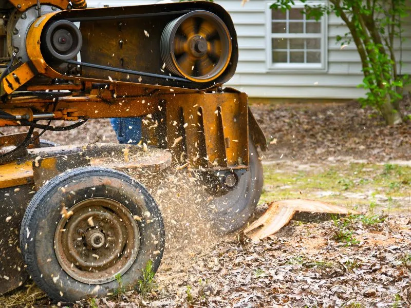 land clearing sp Stump Grinding